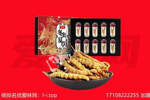 南充仪陇县回收虫草.jpg